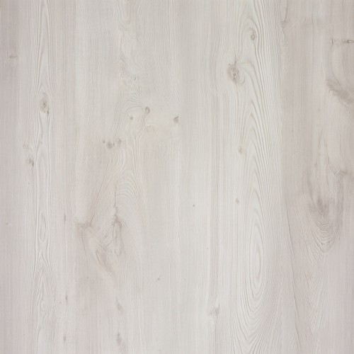 HEMLOCK WHITE